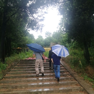 汝州易学研究学会安徽考察