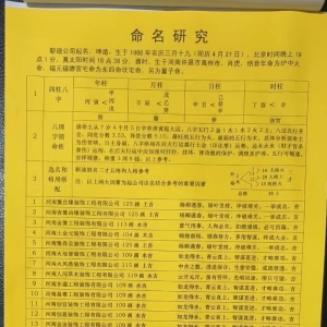 公司起名实例